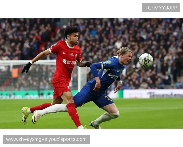 效力过法甲联赛的英格兰球员名单与数据