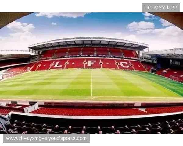 CBA体系中哪个足球位置最强？